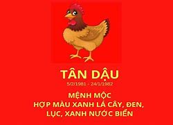 Tuổi Dậu 1981 Hợp Làm Ăn Với Tuổi Nào