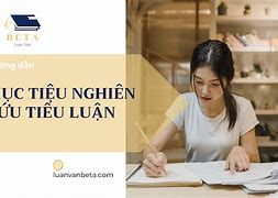 Viết Tiểu Luận Là Gì